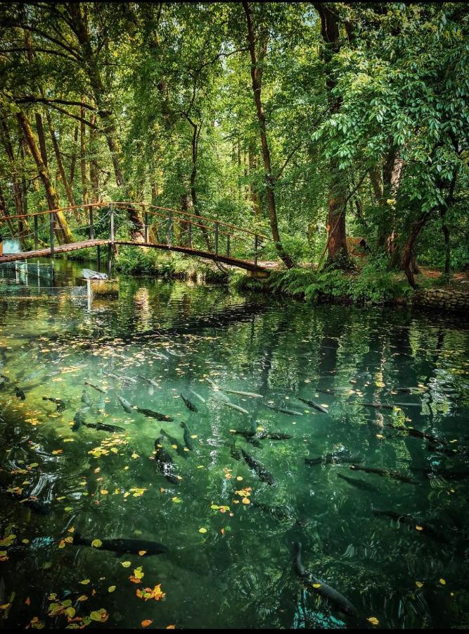 Янтарная Форель Bushtyno Exterior photo